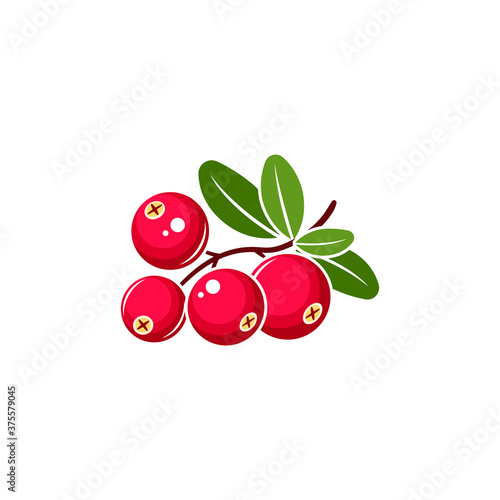 Cranberry vector illustration. Red cranberries with green leaves isolated on white background.