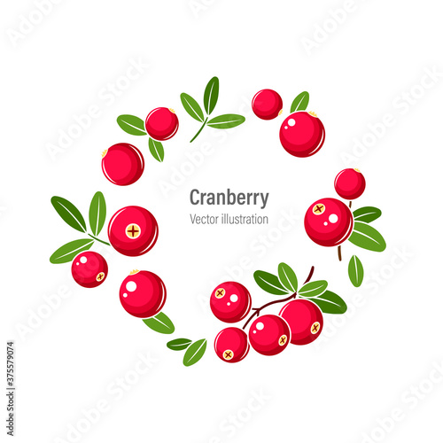 Cranberry wreath vector illustration. Red cranberries with green leaves isolated on white background.