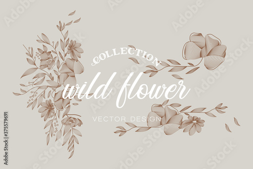 Collection wild flower vector design