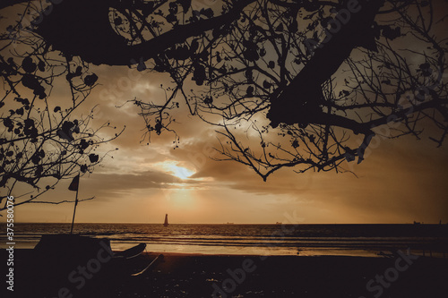 Silhouette boat and tree at sunset,