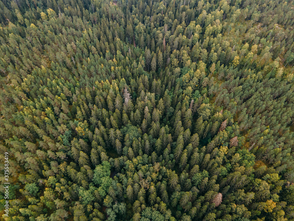 Aerial view to autumn classic Finnish landscape in Nuuksio national park Aerial view to autumn classic Finnish landscape in Nuuksio national park
