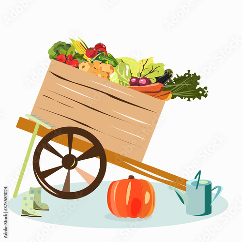 Garden cart full of vegetables after harvest