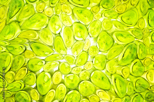 Stems of plants cell magnification under a microscope photo