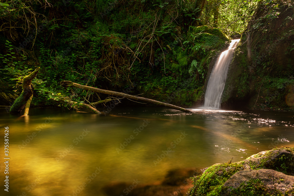 cascade in asturias spain forest cascade in asturias spain forest