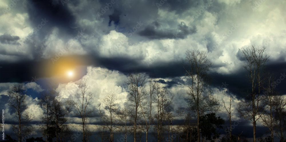 Dramatic storm clouds over a leafless forest. Dramatic storm clouds over a leafless forest.