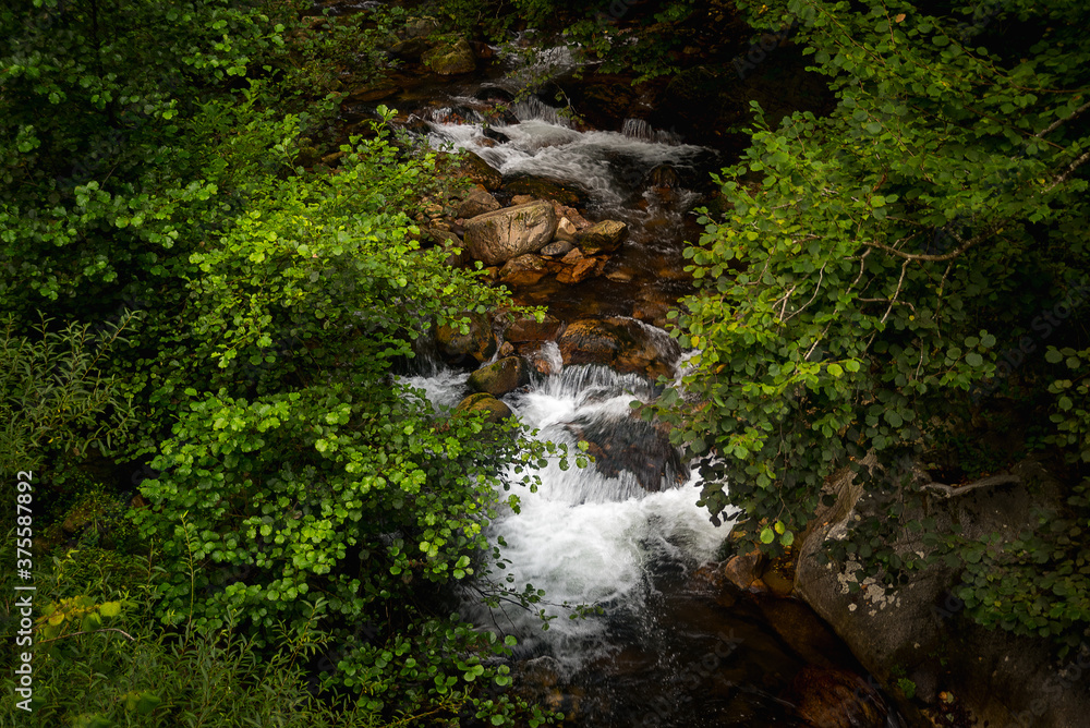 cascade in asturias spain forest