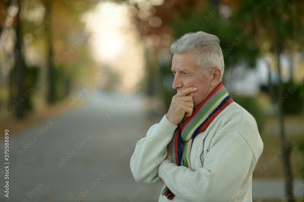 Portrait ofsenior man thinking in park Portrait ofsenior man thinking in park