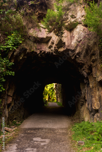Fototapeta Naklejka Na Ścianę i Meble -  tunnel way in nature asturias spain