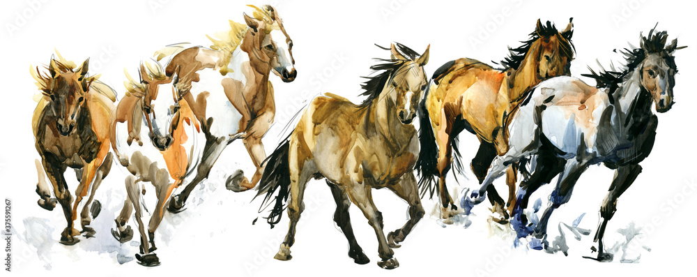 Fototapeta premium running horses watercolor banner illustration