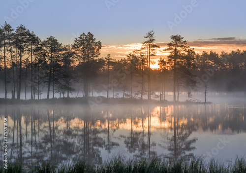 Scenic nature landscape with mood fog and beautiful sunrise at early summer morning in lakeside Finland