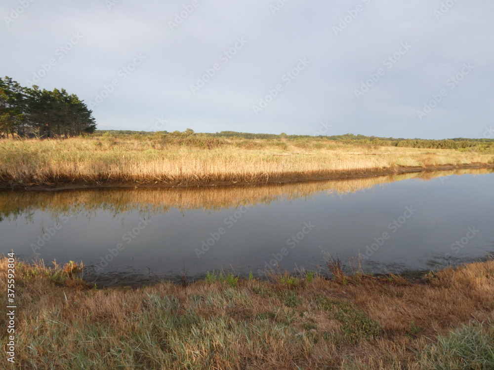 Vue sur un marais Vue sur un marais