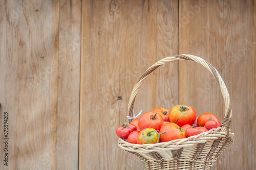 Fototapeta Naklejka Na Ścianę i Meble -  fresh organic tomatoes in a wicker basket