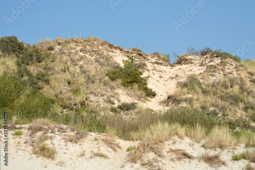 sand dunes on the beachand blue sky