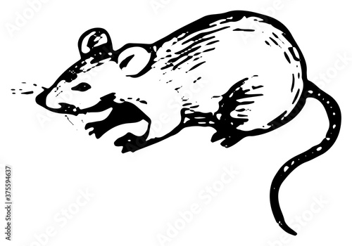 Cute rat single doodle. Simple vector hand drawn illustration. Rodent animal drawing isolated on white background. Black ink contour sketch element for design, print, card, decoration, poster, sticker