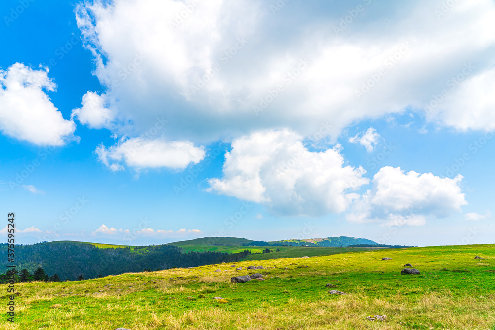 【長野県 美ヶ原】雲上の高原風景 【長野県 美ヶ原】雲上の高原風景