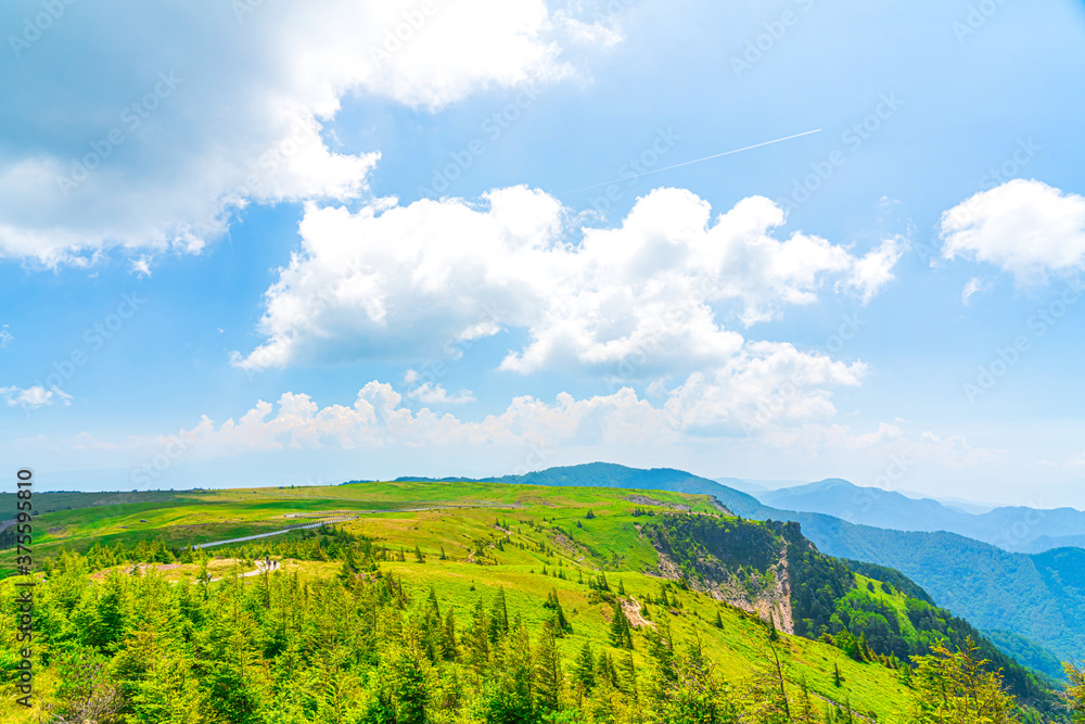 Fototapeta premium 【長野県 美ヶ原】雲上の高原風景