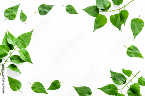 Top view frame of green leaves. Nature concept layout