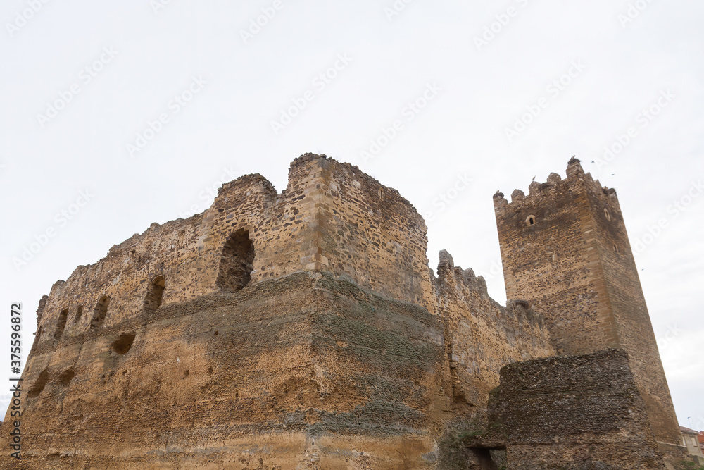 Ruins of the ancient medieval castle of Laguna de Negrillos. Province of Leon. Spain 