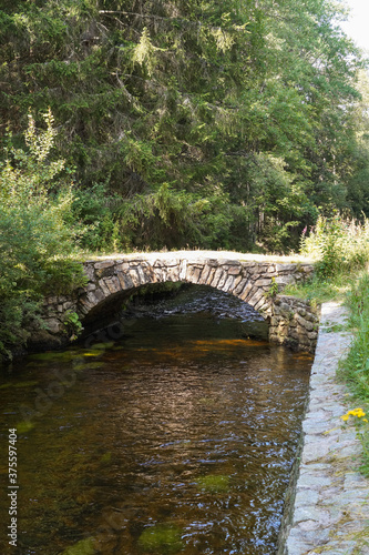 ancient bridge in nature