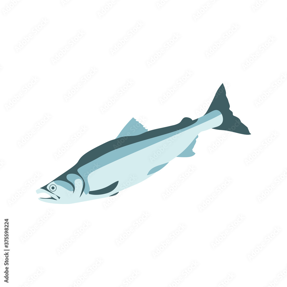 Mackerel, salmon, pollock or trout sea fish. Fresh marine fish, seafood  menu, fish market design element. Organic natural healthy nutritious food  cartoon vector image isolated on white background Stock Vector | Adobe