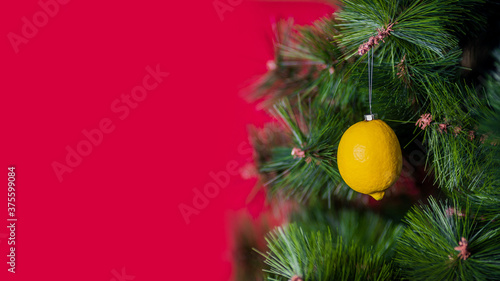 Vegan Christmas concert banner. tree is decorated with fresh vegetables. raw lemon on a pine branch on a red background. The idea of minimalism and eco-friendly celebration without waste. Copy space