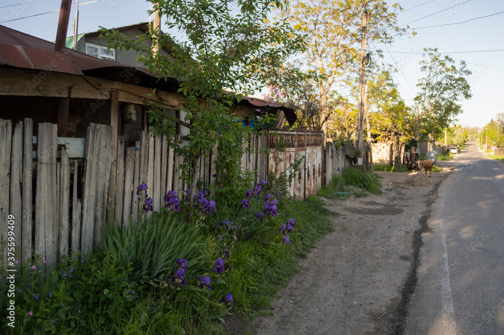 Small Georgian Village near Sighnaghi, Caucasus Mountains, Georgia