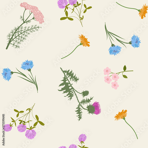 Fototapeta Naklejka Na Ścianę i Meble -  Seamless vector illustration with wildflowers
