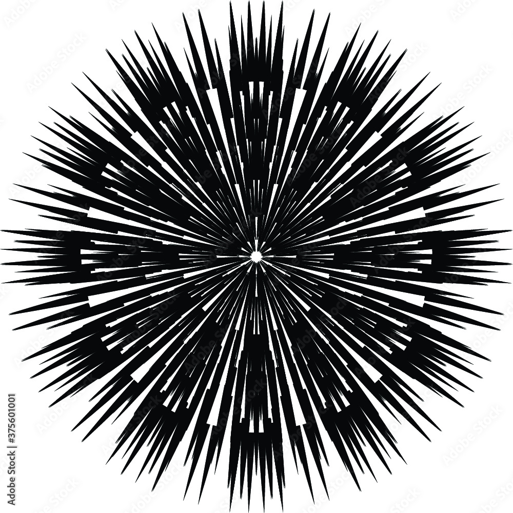 Fototapeta premium Radial Lines in Circle Form for comic books . Explosion background . Vector Illustration . Vintage round Logo . Handwritten Design element . Abstract Geometric shape . Sunburst .