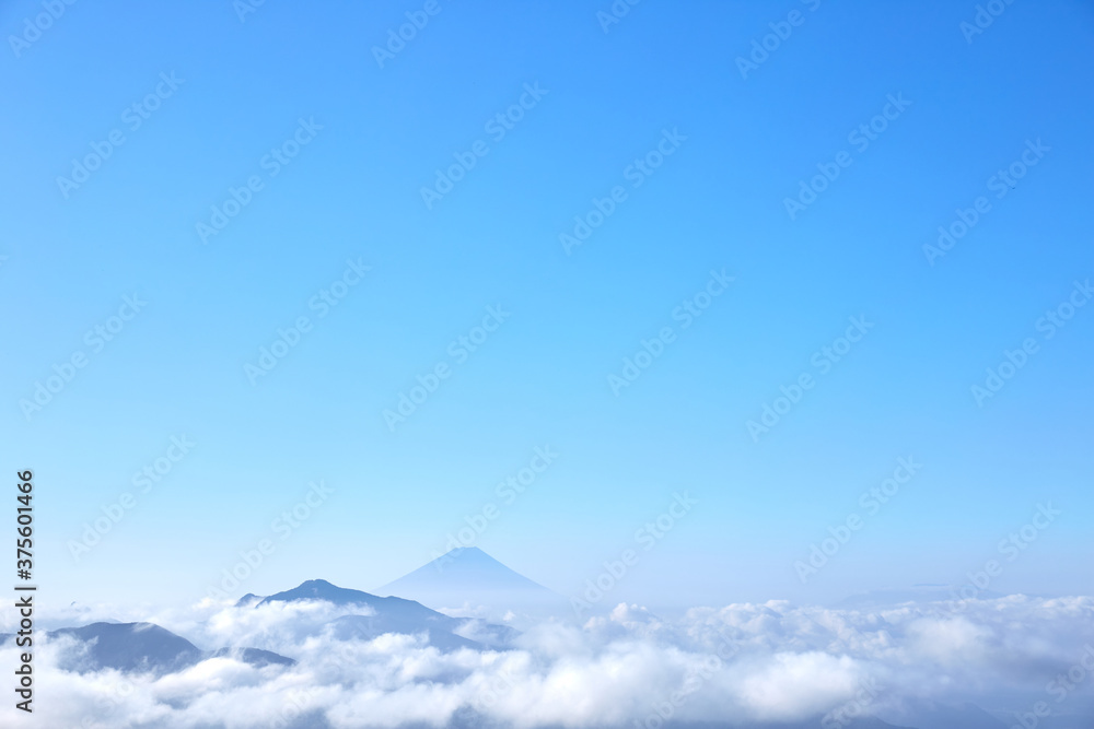 美し森の遊歩道から眺めた夏の富士山 山梨県北杜市