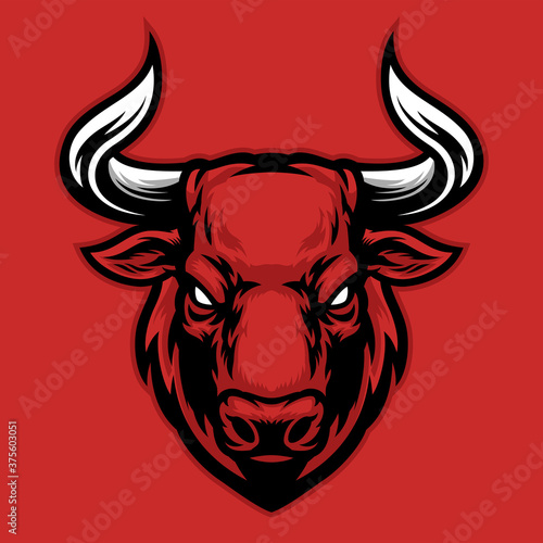 head of angry big bull