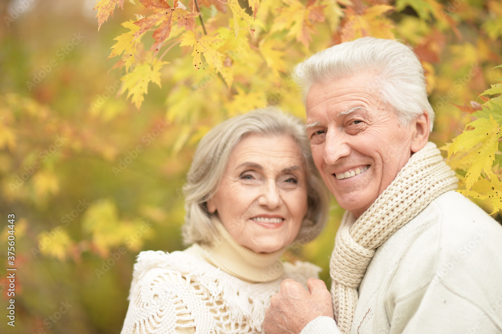 Smiling senior couple posing in the park Smiling senior couple posing in the park