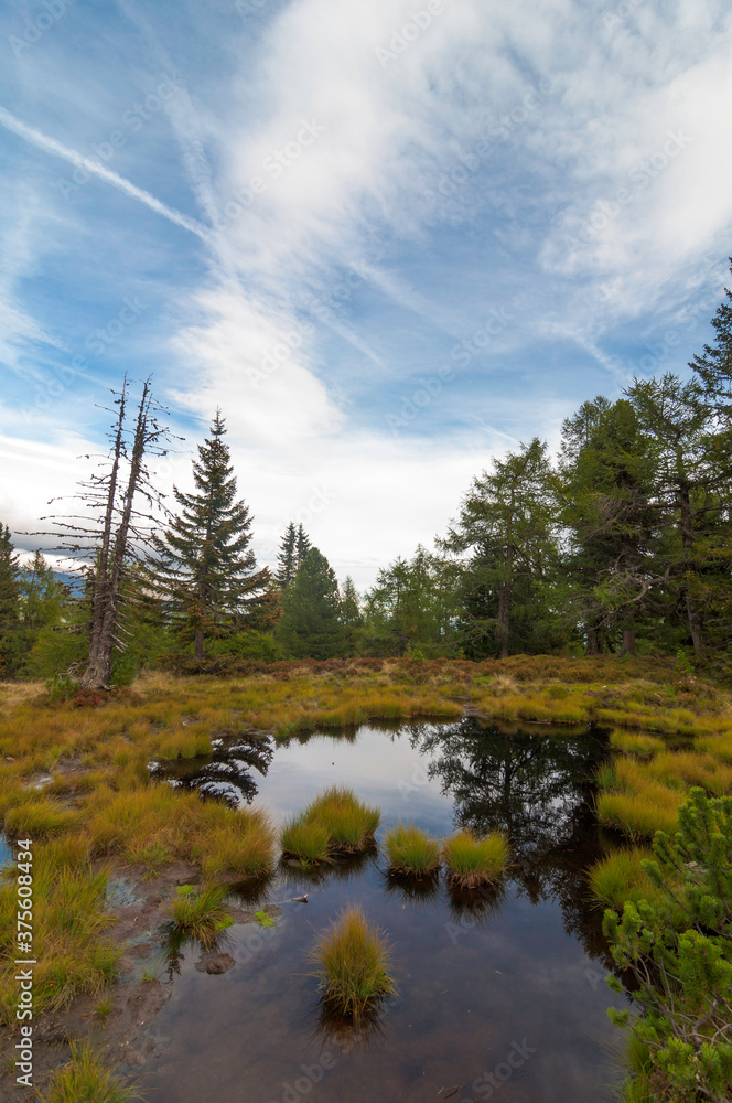The sky and trees are reflecting in a small raised bog lake on the Moserkopf moutain, Faningberg im Lungau. Autumn mood, the sky is cloudy.