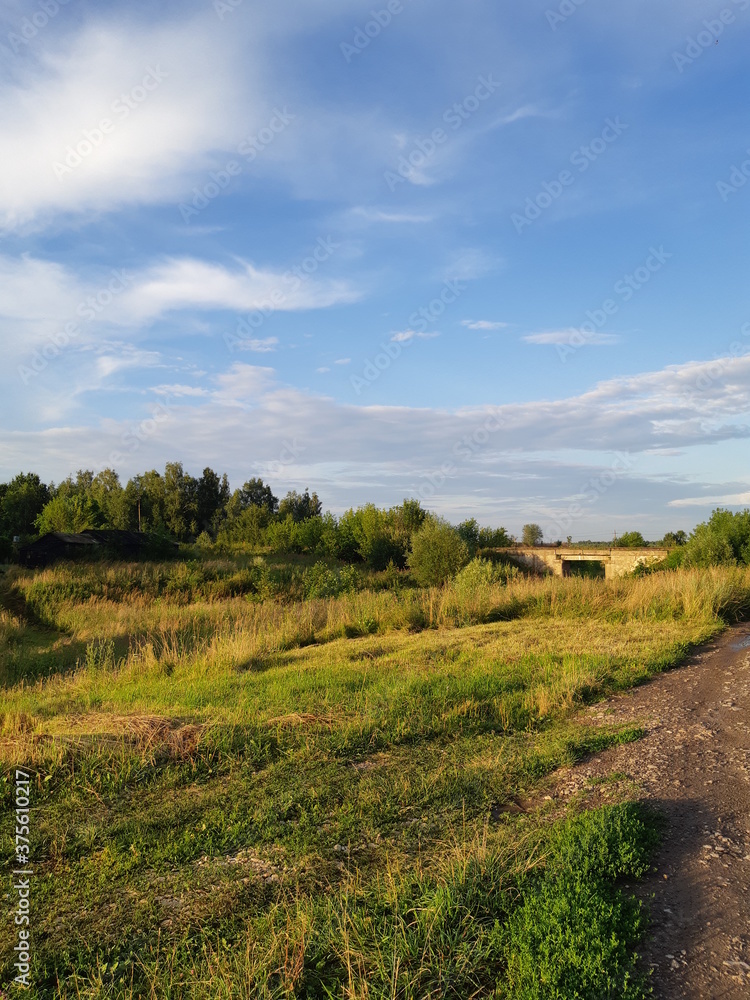 rural landscape with a road