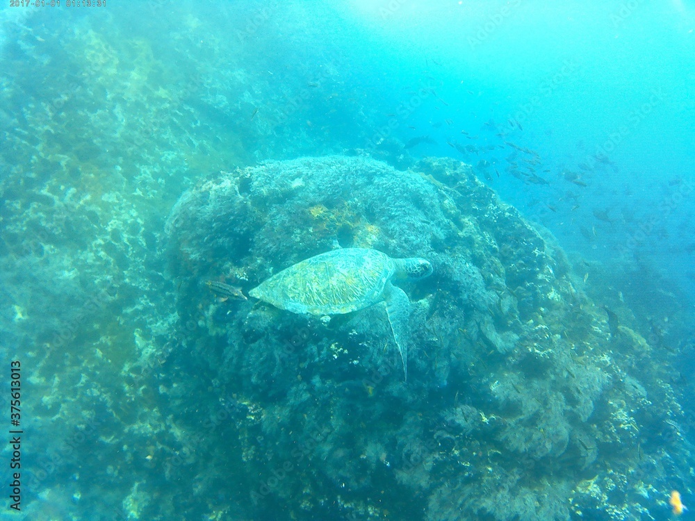 Naklejka premium hgjnm