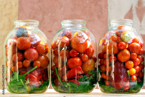 Three jars with ripe red tomatoes with herbs ready to pickle making, standing outdoor on the summer sun.