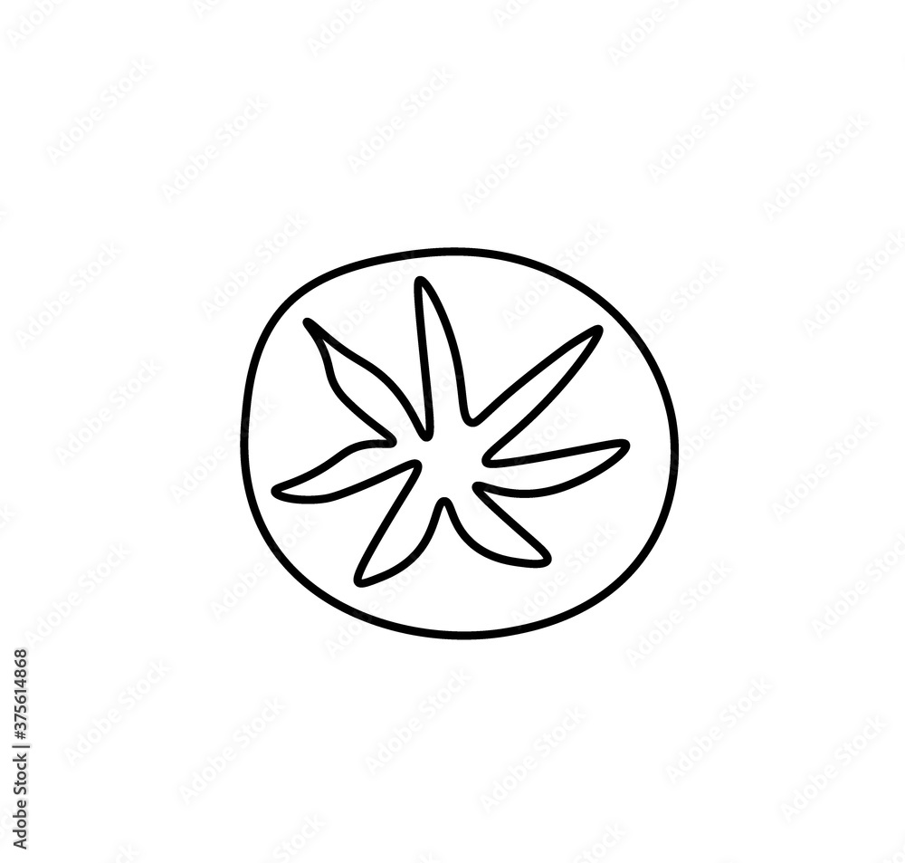 Vector tomato with a black line.Simple food and cooking illustration in doodle style on a white isolated background hand drawn.Design for social networks,web,advertising,banners,menus,recipes. Vector tomato with a black line.Simple food and cooking illustration in doodle style on a white isolated background hand drawn.Design for social networks,web,advertising,banners,menus,recipes.