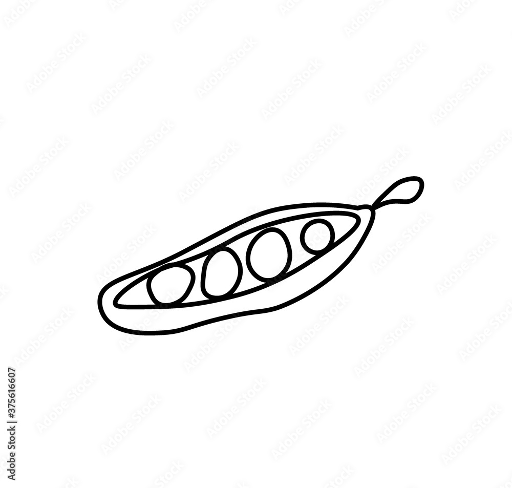 Vector peas with a black line.Simple food and cooking illustration in doodle style on a white isolated background hand drawn.Design for social networks,web,advertising,banners,menus,recipes. Vector peas with a black line.Simple food and cooking illustration in doodle style on a white isolated background hand drawn.Design for social networks,web,advertising,banners,menus,recipes.