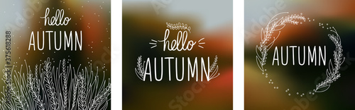 Set of frame Freehand drawn wild autumn grass on gradient mesh colored background. Hello autumn lettering. Vector natural wallpaper. Design for social media, posters and advertising