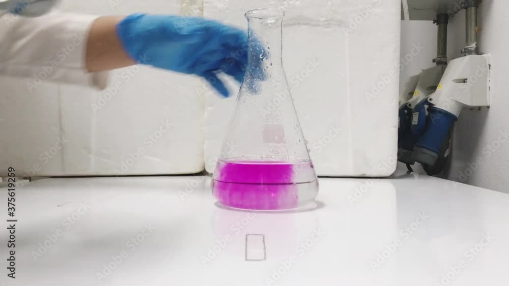 scientist in laboratory change in colour of a pink chemical in conical flask on addition of a clearance solution from a conical flask in a chemistry lab scientist in laboratory change in colour of a pink chemical in conical flask on addition of a clearance solution from a conical flask in a chemistry lab