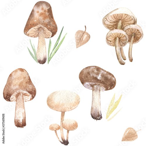 Mushrooms Forest Autumn Season Leaves Grass Beige Tender Pattern Repeating Seamless Watercolor