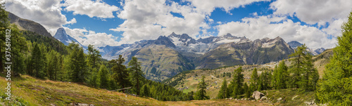 Landscape of Switzerland with mountain range and forest near Zermatt  Valais canton  Panorama 