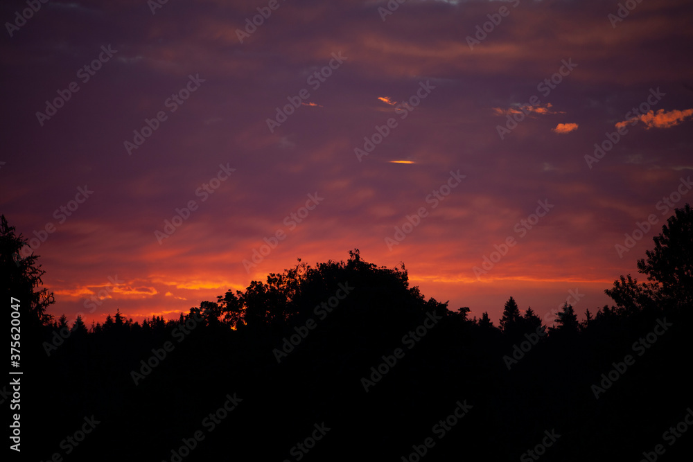 Pre-dawn sky and forest. Morning sky background. 