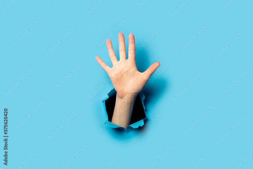 Women's palm on a blue background. Hurray gesture, five fingers - obrazy, fototapety, plakaty 