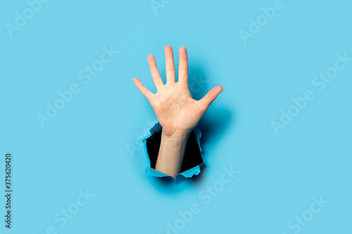 Women's palm on a blue background. Hurray gesture, five fingers