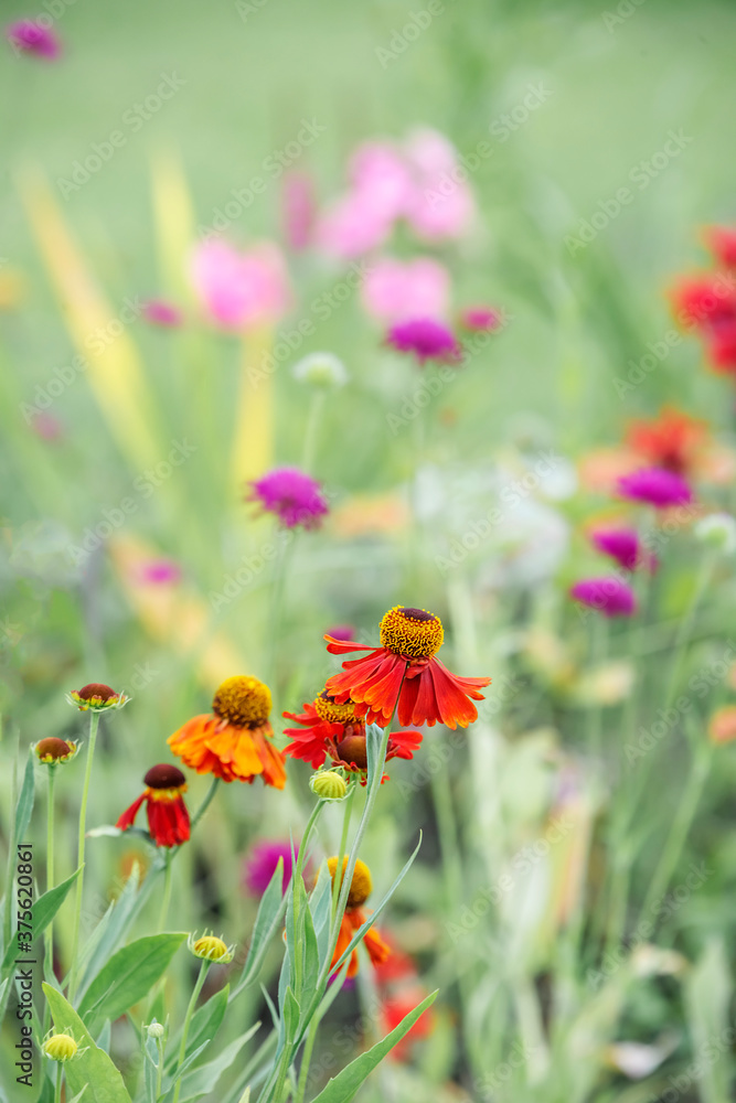 Green summer vertical background with flowers