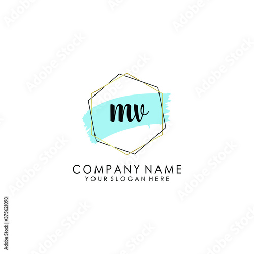 MV Initial handwriting logo template vector
