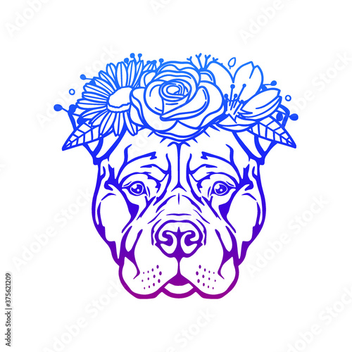 Pitbull Dog Face Rose Flower with Vintage Pet Design. Floral frame ornament vector style. Decoration Design Wreat illustration.