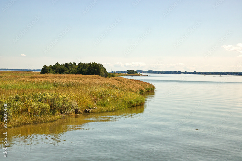 Grassy Shoreline along the Rappahannock River 