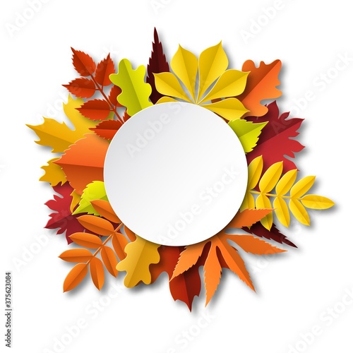Fall leaves composition. Paper cut frame with autumn falling yellow foliage, seasonal floral botanical elements below circle banner with shadows, vector isolated round concept with copy space