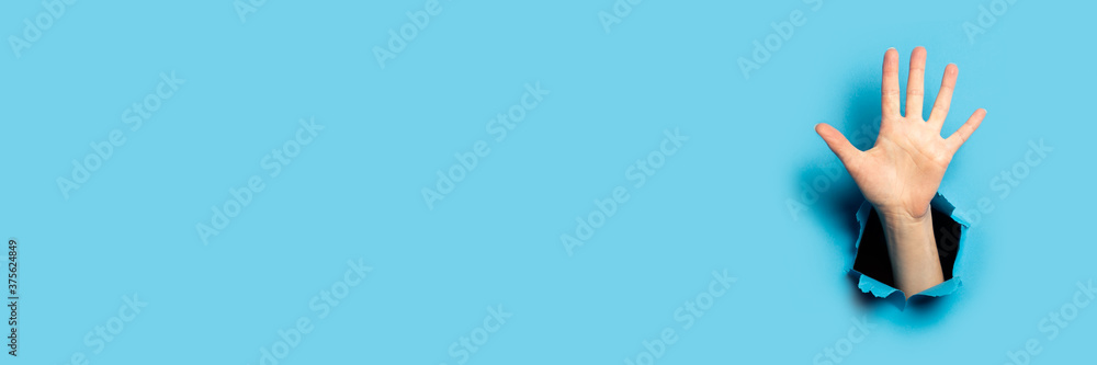 Women's palm on a blue background. Hurray gesture, five fingers - obrazy, fototapety, plakaty 